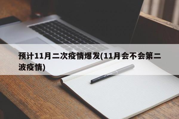 预计11月二次疫情爆发(11月会不会第二波疫情)