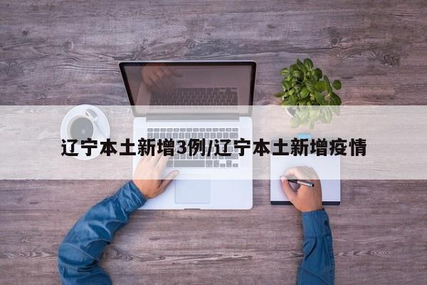辽宁本土新增3例/辽宁本土新增疫情