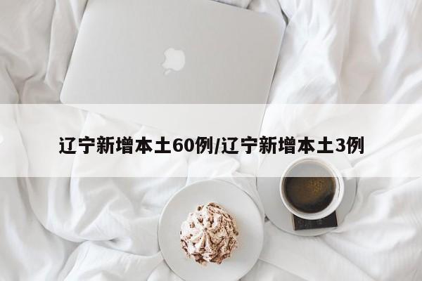 辽宁新增本土60例/辽宁新增本土3例