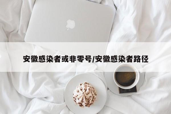 安徽感染者或非零号/安徽感染者路径