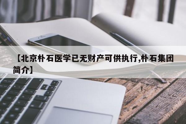 【北京朴石医学已无财产可供执行,朴石集团简介】