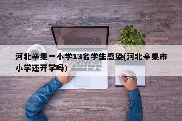 河北辛集一小学13名学生感染(河北辛集市小学还开学吗)
