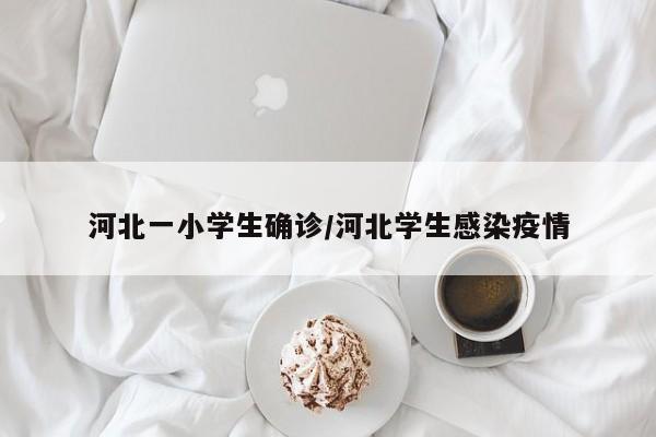 河北一小学生确诊/河北学生感染疫情