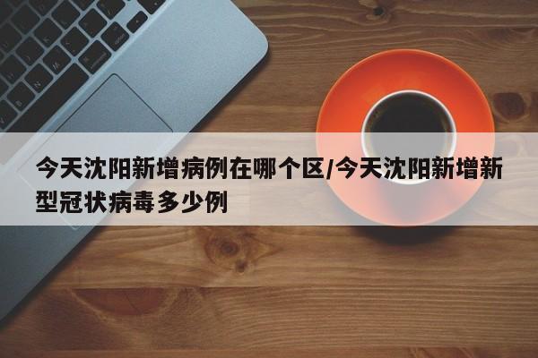 今天沈阳新增病例在哪个区/今天沈阳新增新型冠状病毒多少例