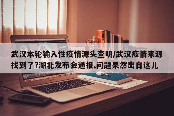 武汉本轮输入性疫情源头查明/武汉疫情来源找到了?湖北发布会通报,问题果然出自这儿