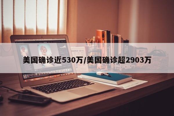美国确诊近530万/美国确诊超2903万