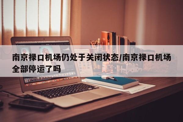 南京禄口机场仍处于关闭状态/南京禄口机场全部停运了吗