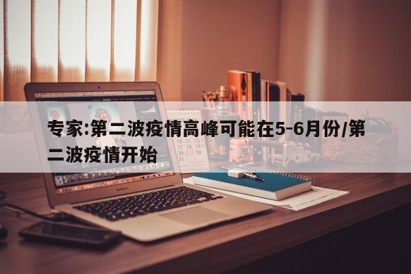 专家:第二波疫情高峰可能在5-6月份/第二波疫情开始