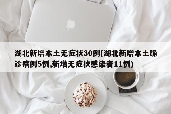 湖北新增本土无症状30例(湖北新增本土确诊病例5例,新增无症状感染者11例)